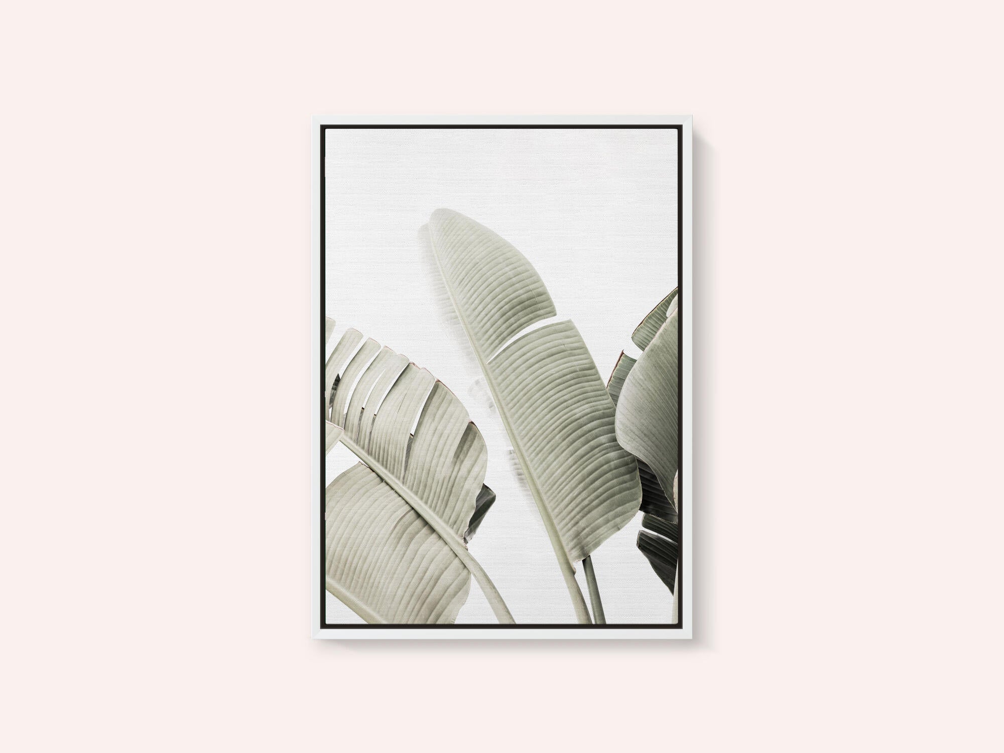 Banana leaf 1