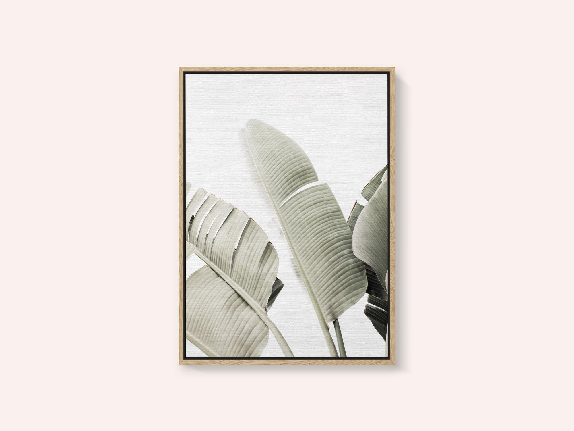 Banana leaf 1