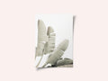 Banana leaf 2