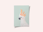 Cockatoo on Mint