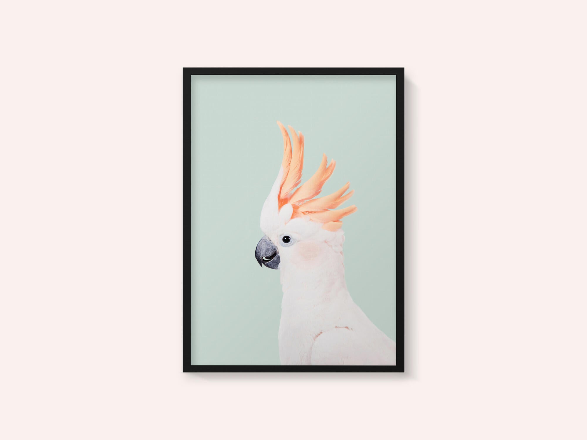 Cockatoo on Mint
