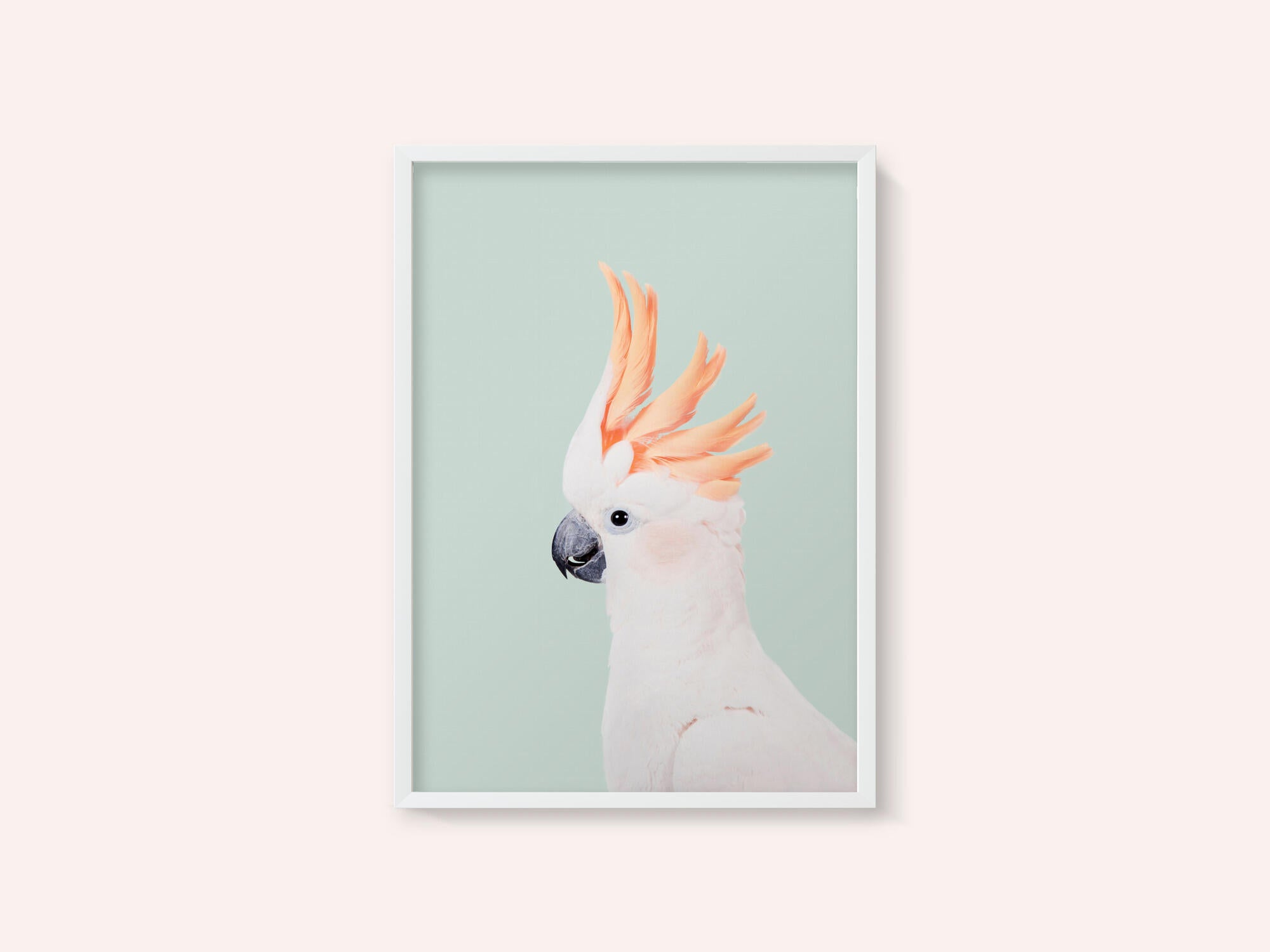 Cockatoo on Mint