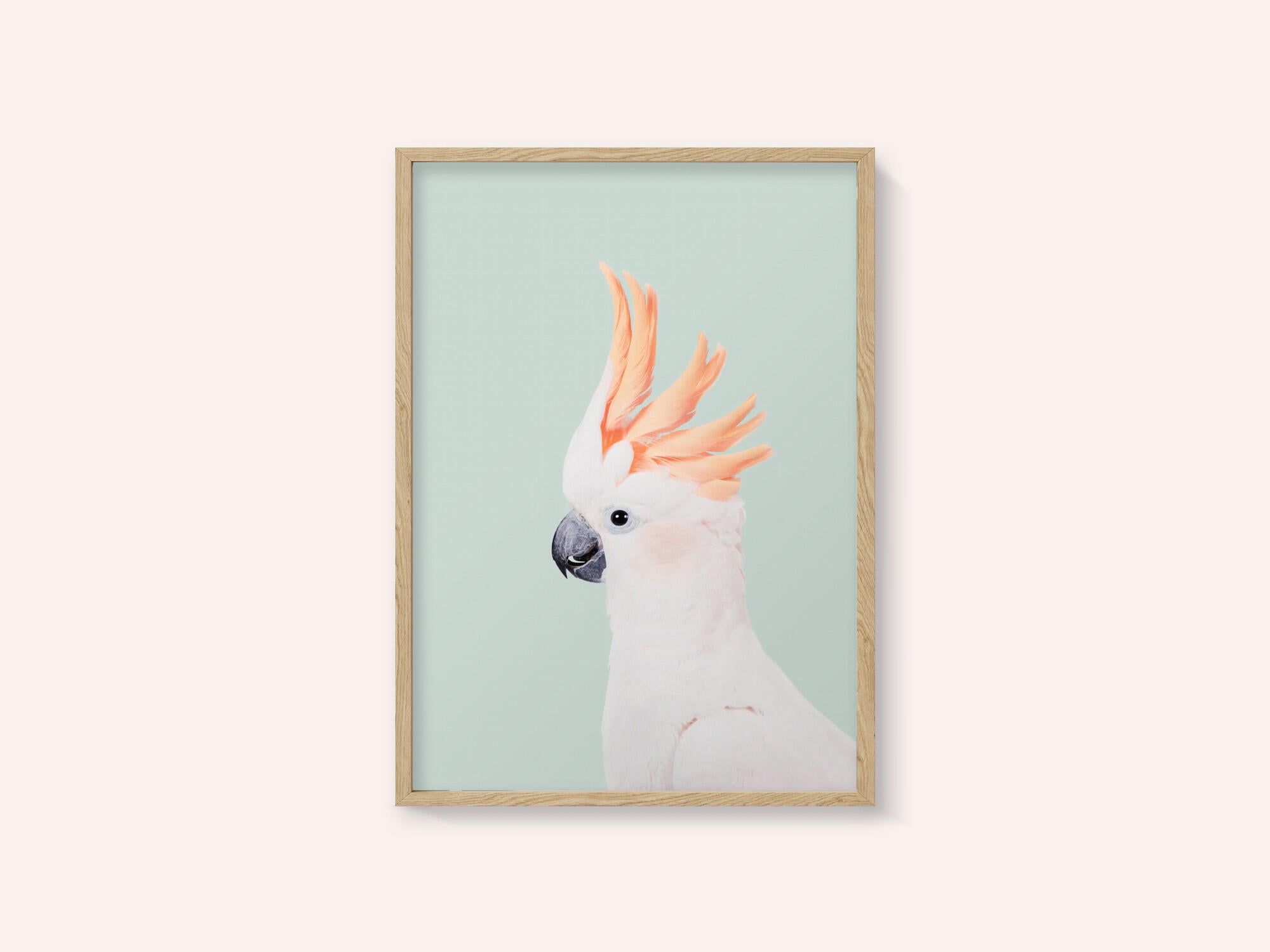Cockatoo on Mint