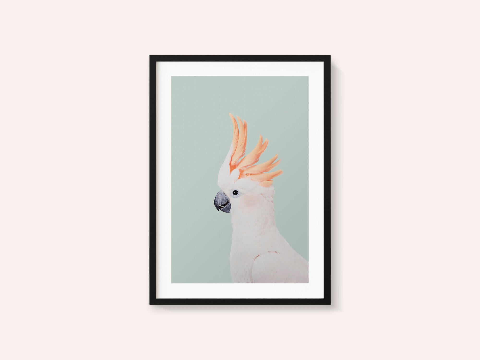 Cockatoo on Mint