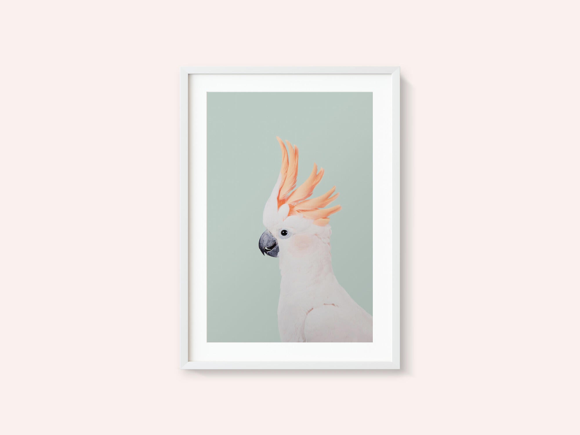 Cockatoo on Mint
