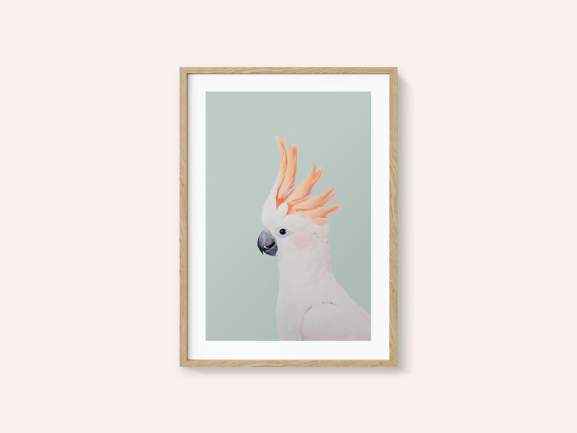 Cockatoo on Mint