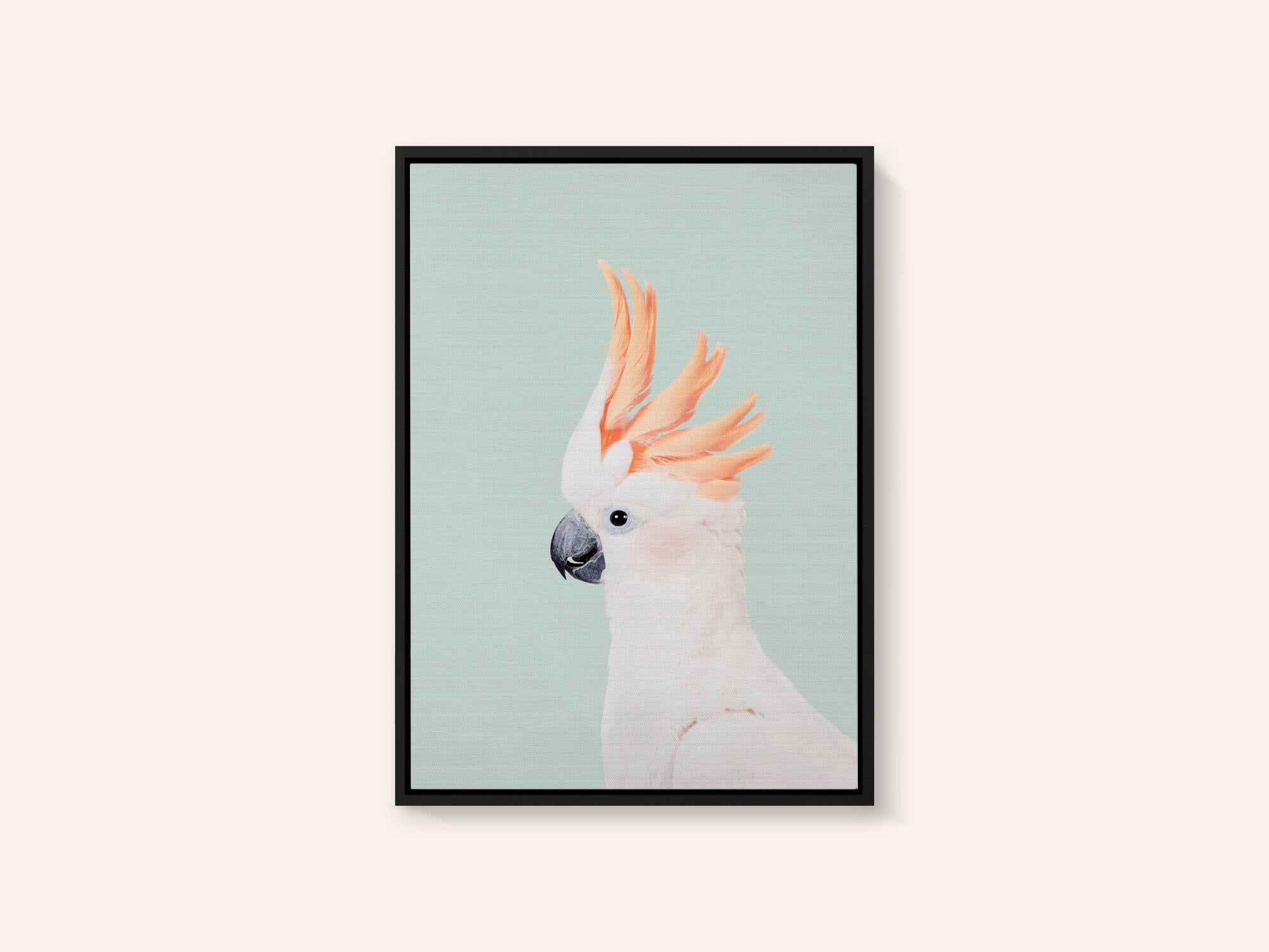 Cockatoo on Mint