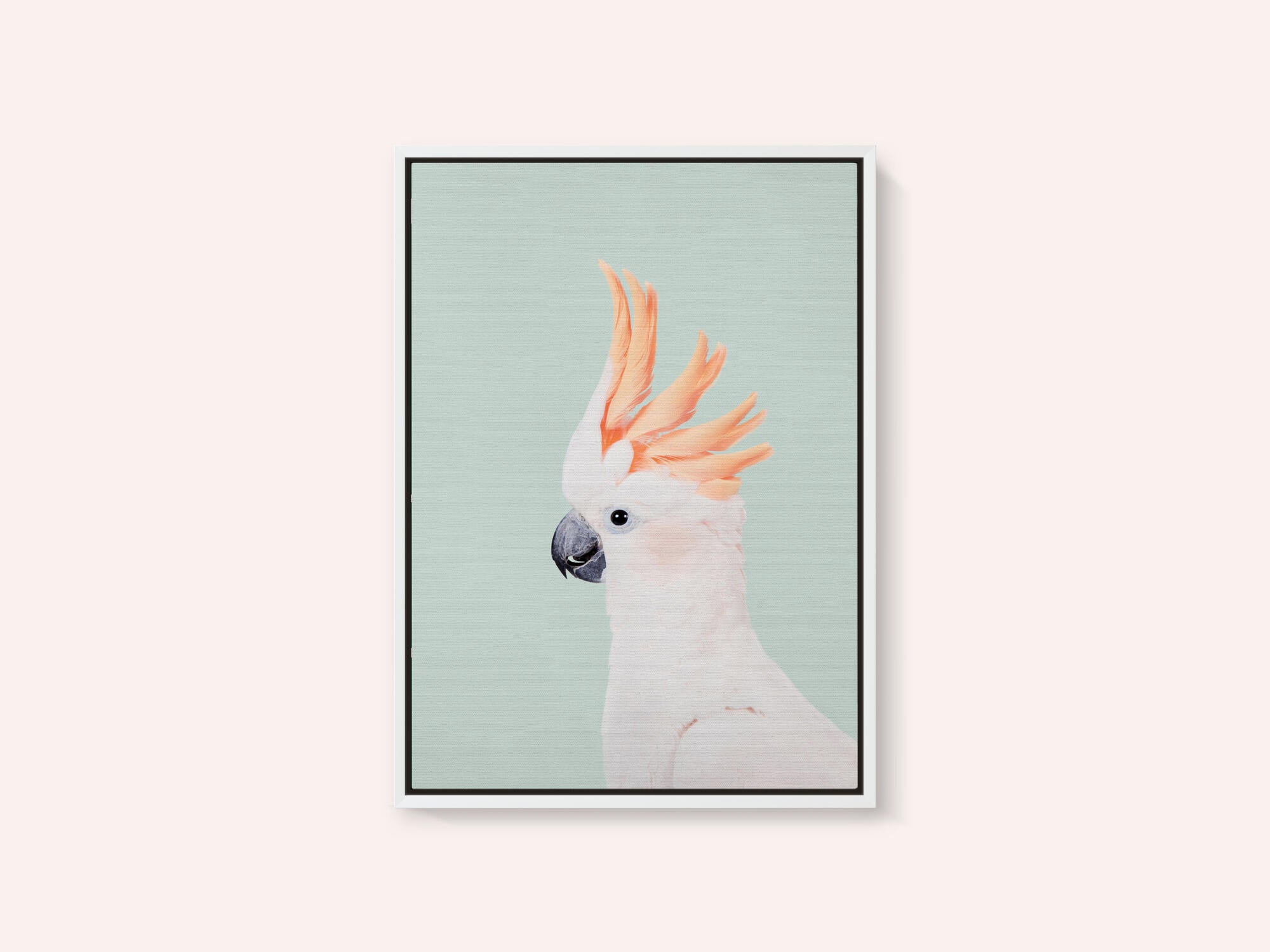 Cockatoo on Mint