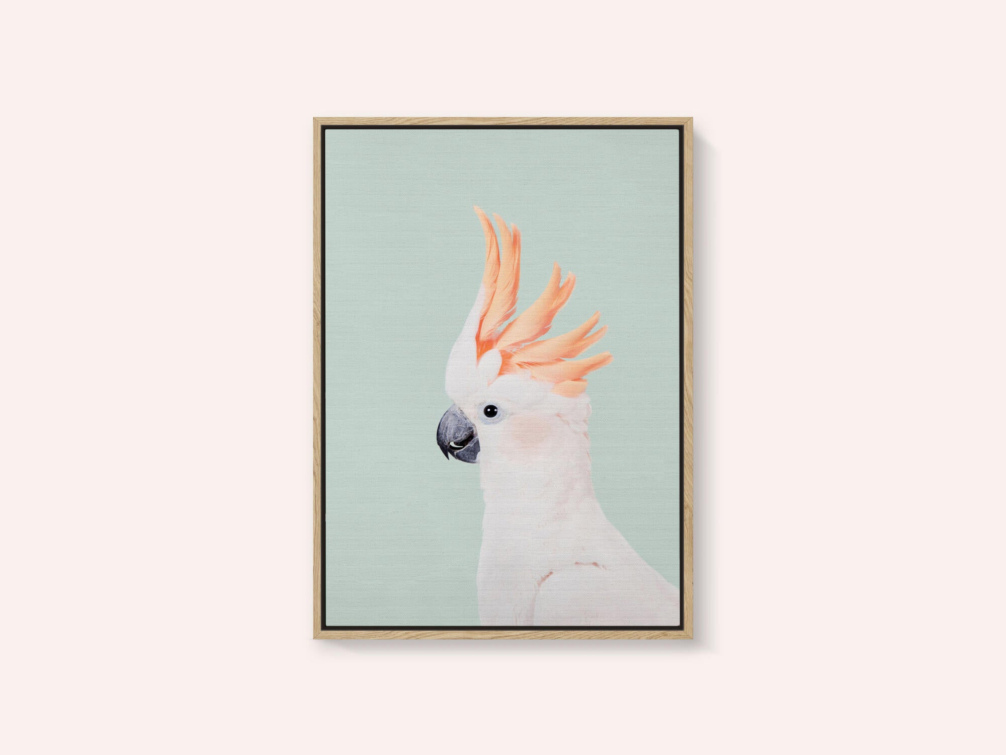 Cockatoo on Mint