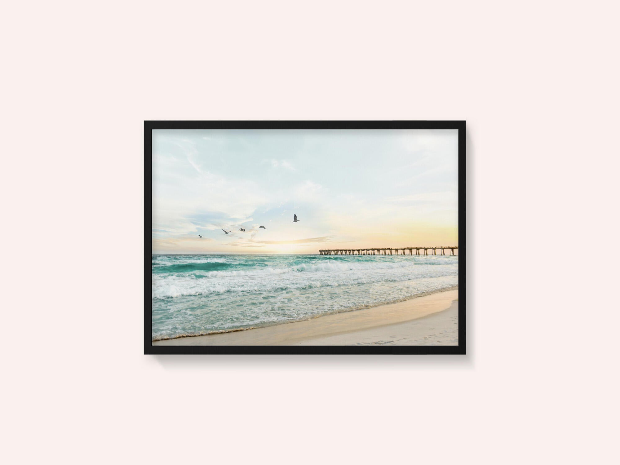 Birds At Pier
