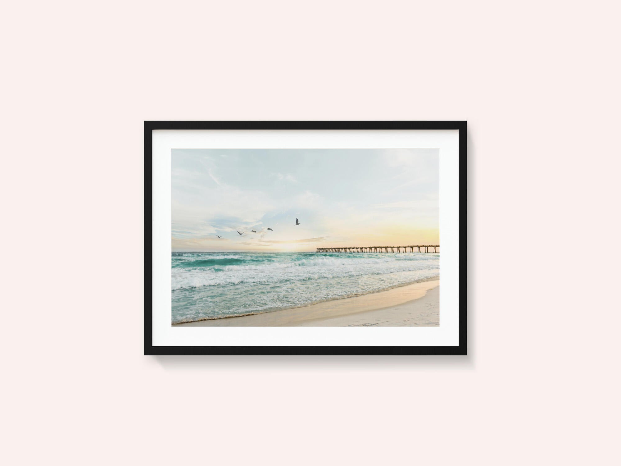 Birds At Pier