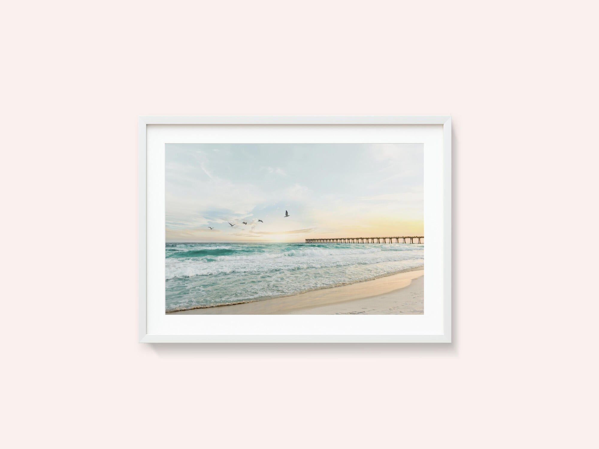 Birds At Pier