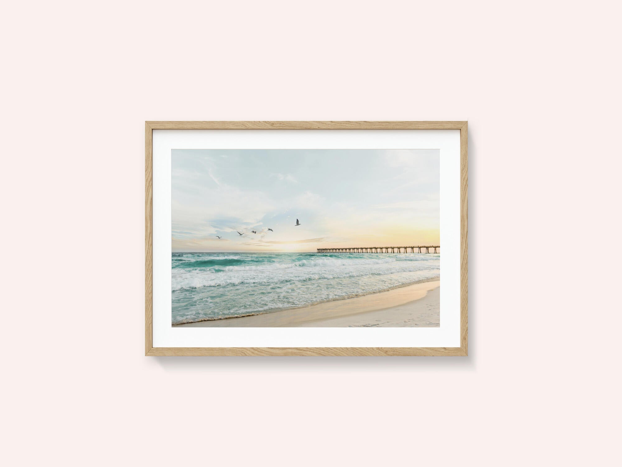 Birds At Pier