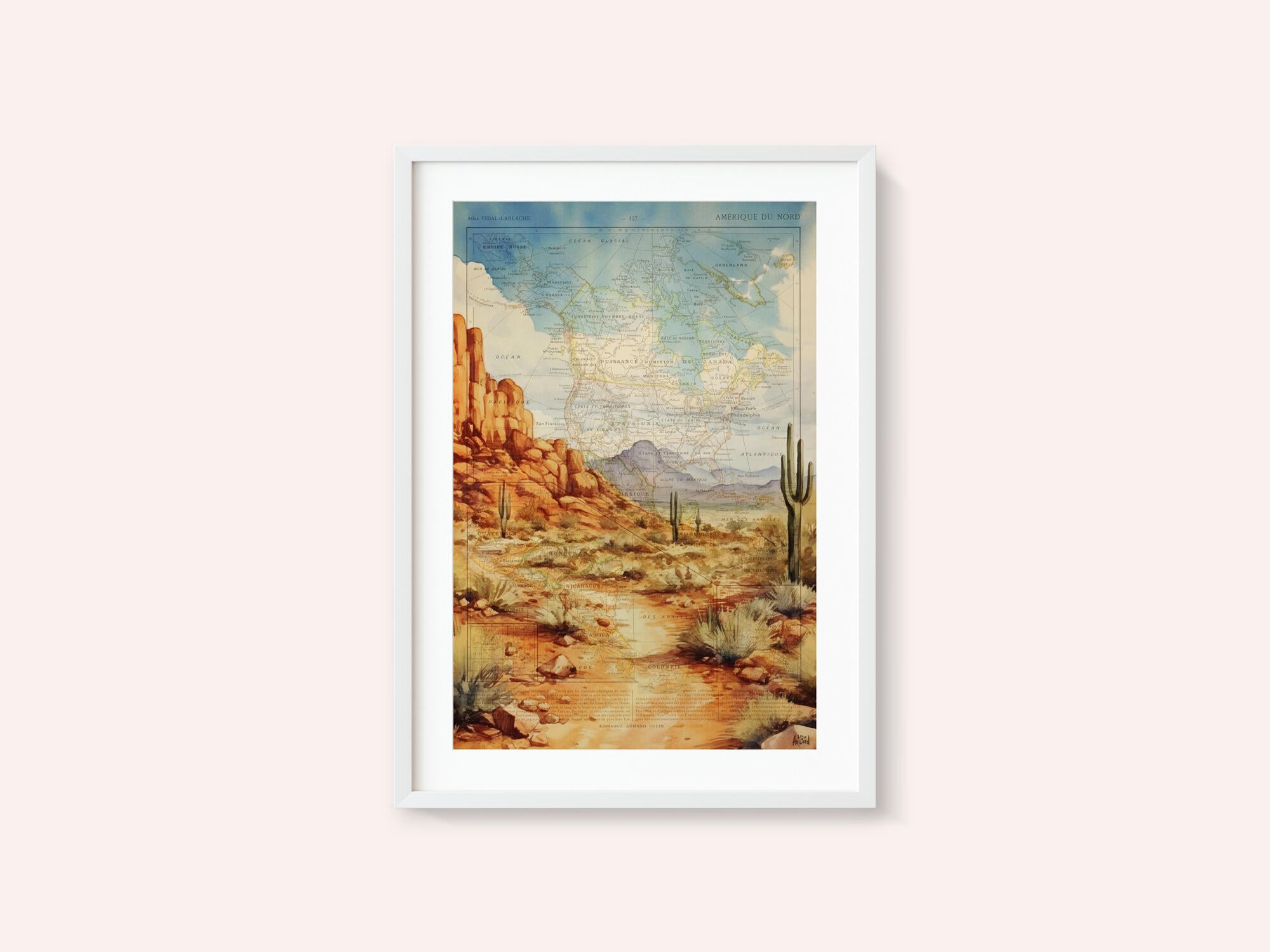 Arizona Desert