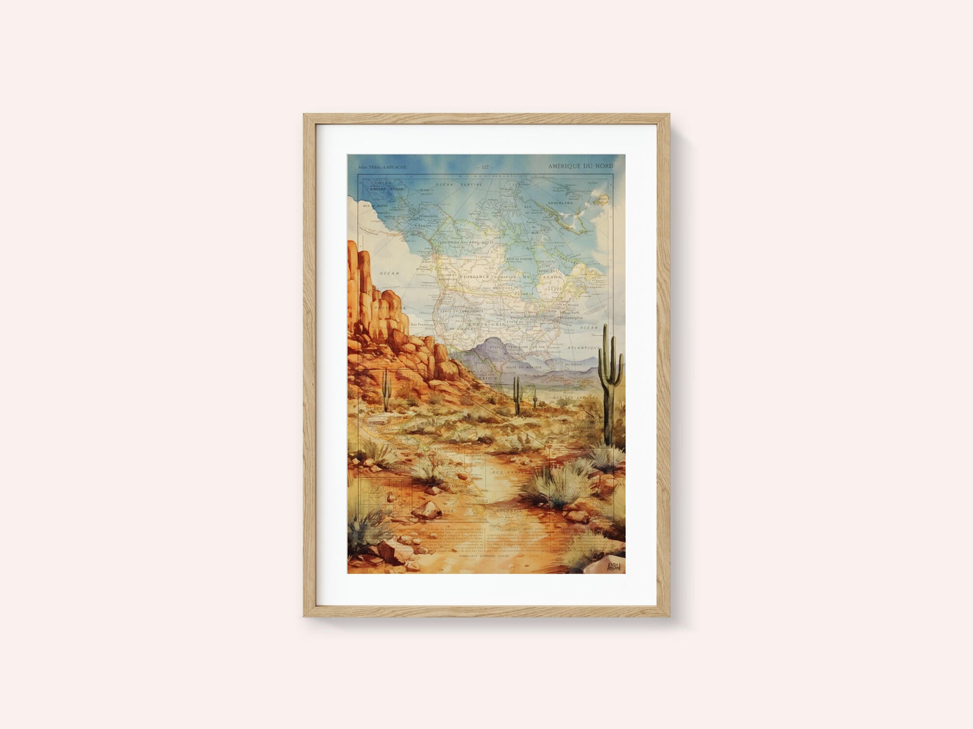 Arizona Desert
