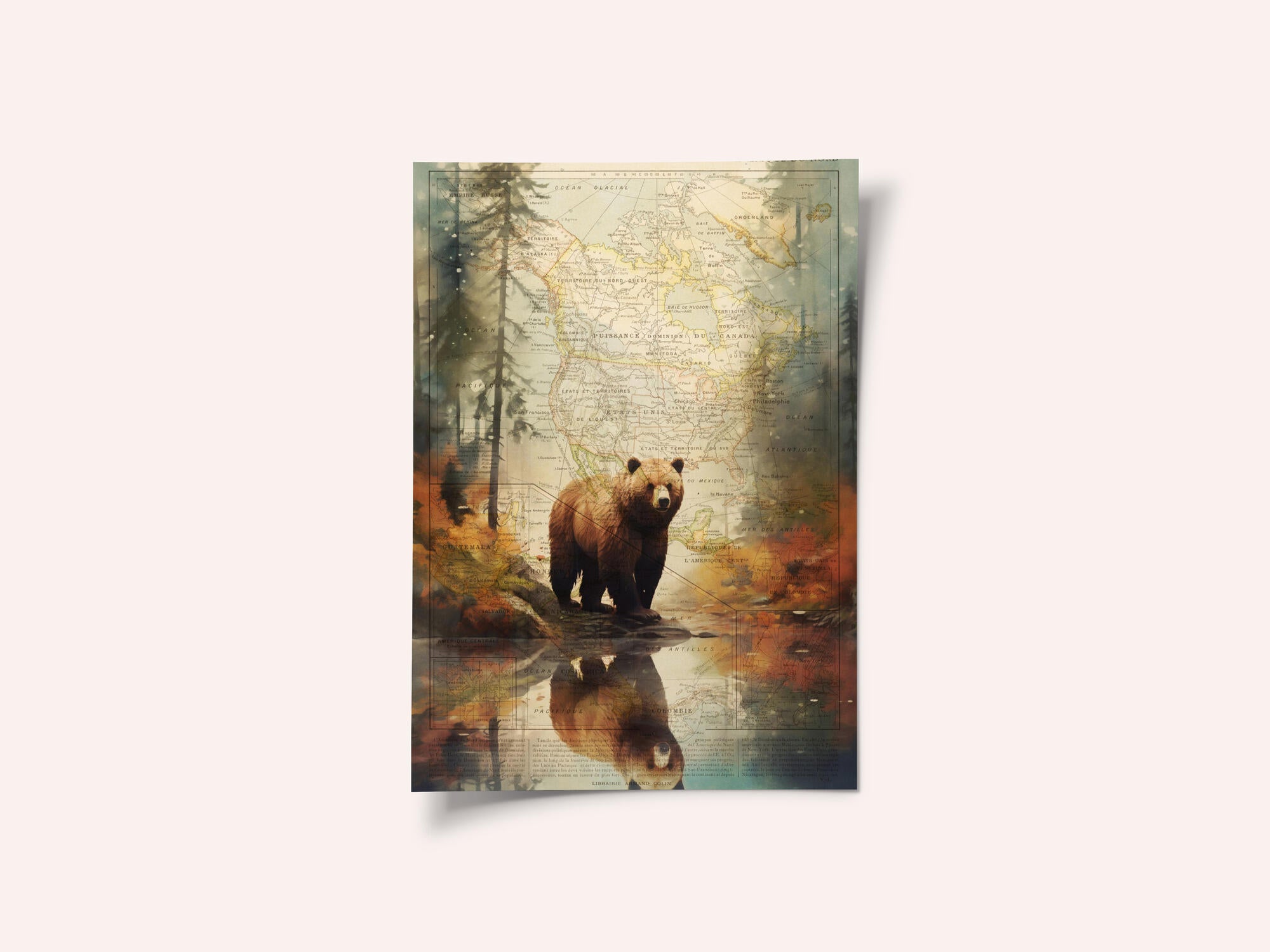 Grizzly 2