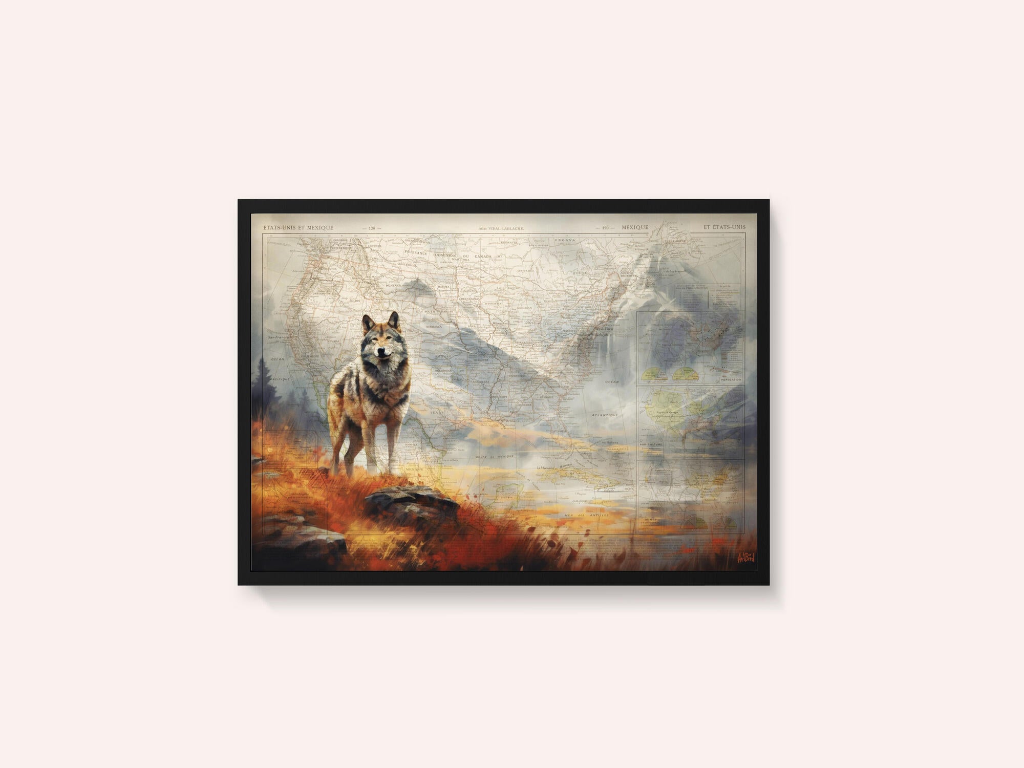 Wolf Valley