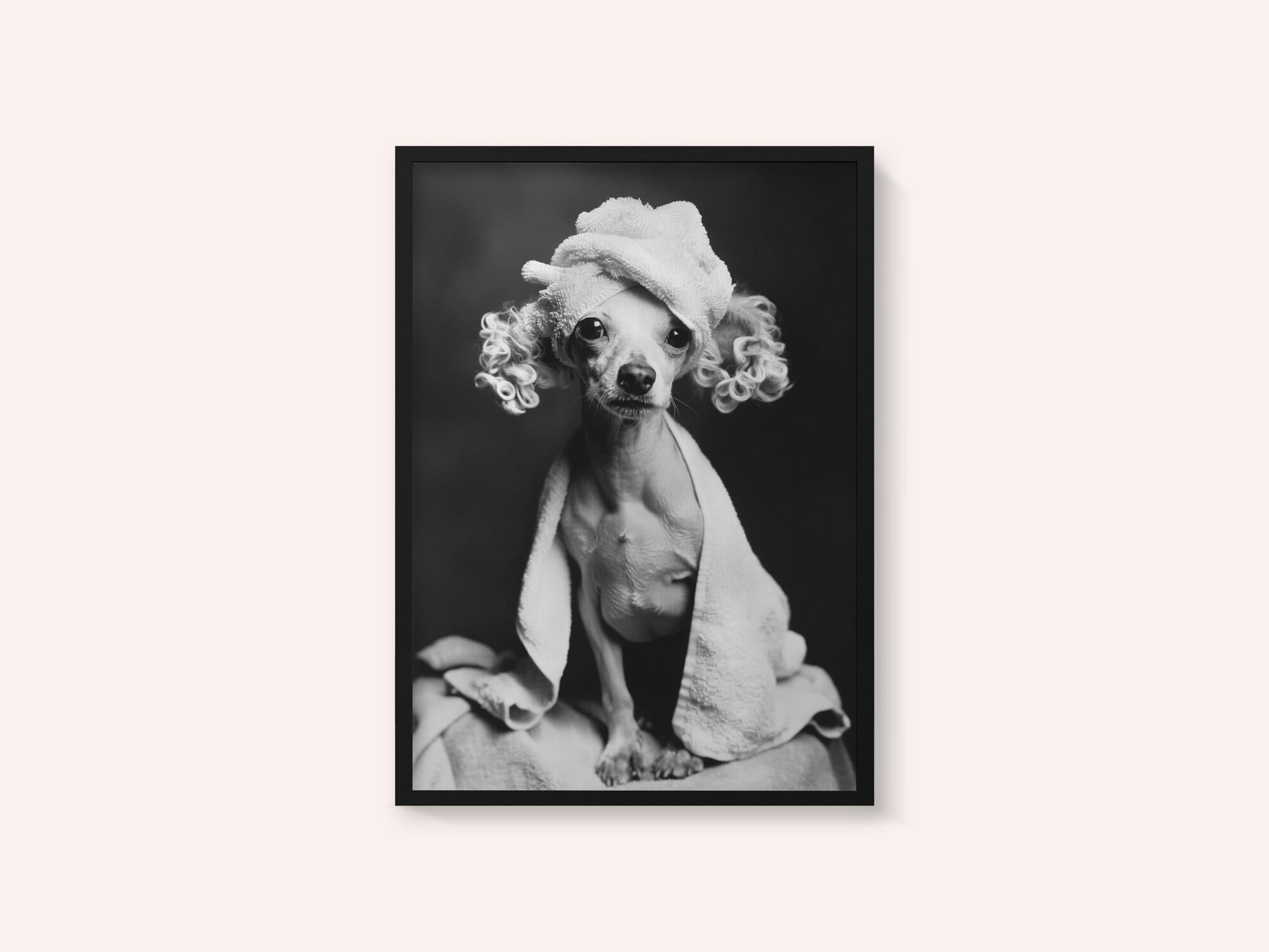 Spa Day Pooch