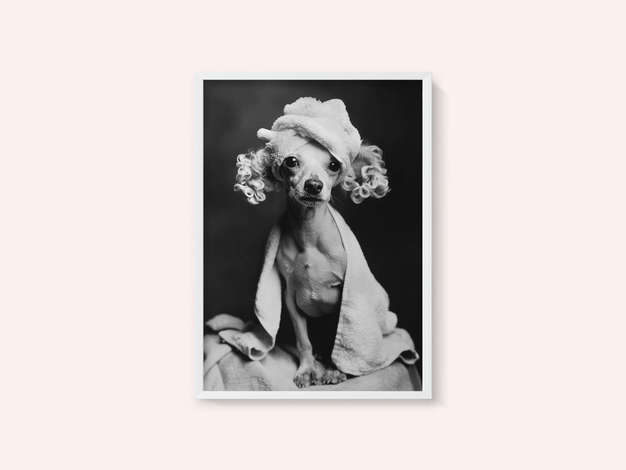 Spa Day Pooch