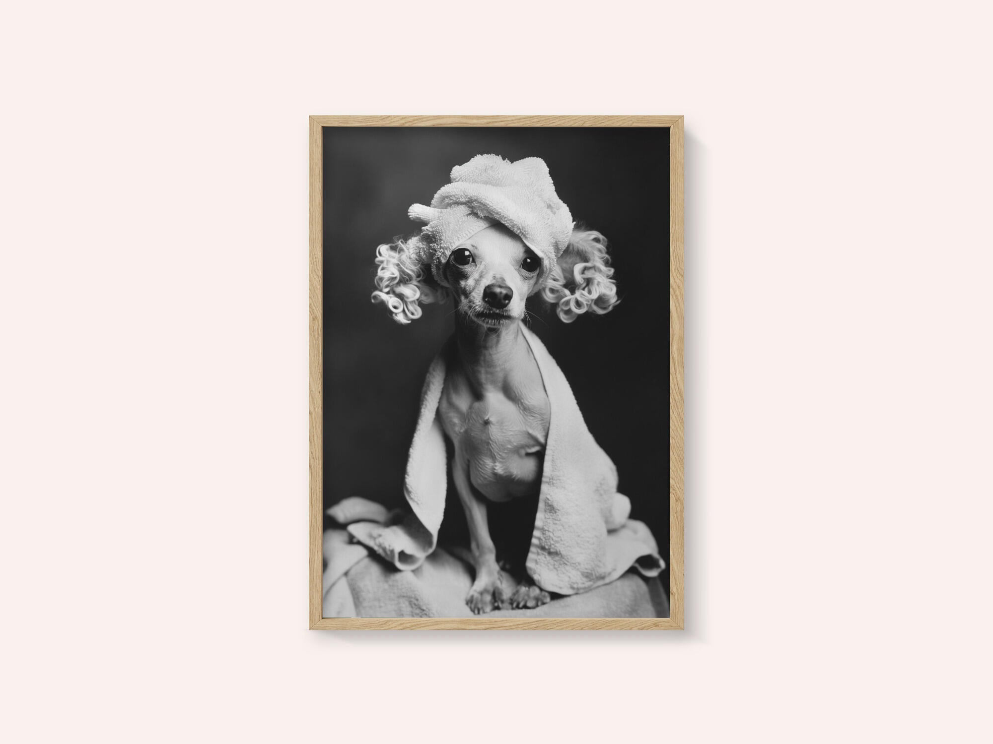 Spa Day Pooch