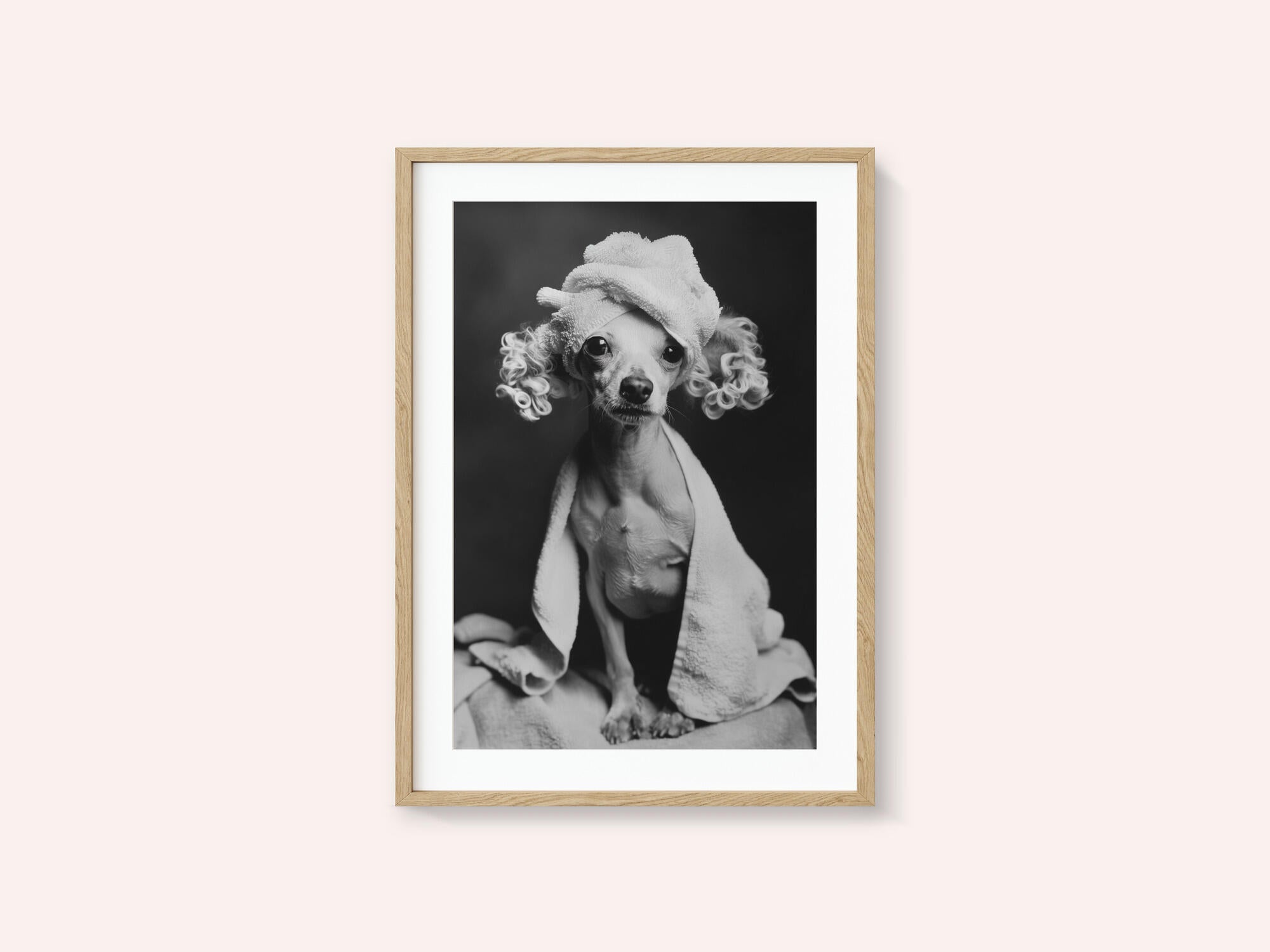 Spa Day Pooch