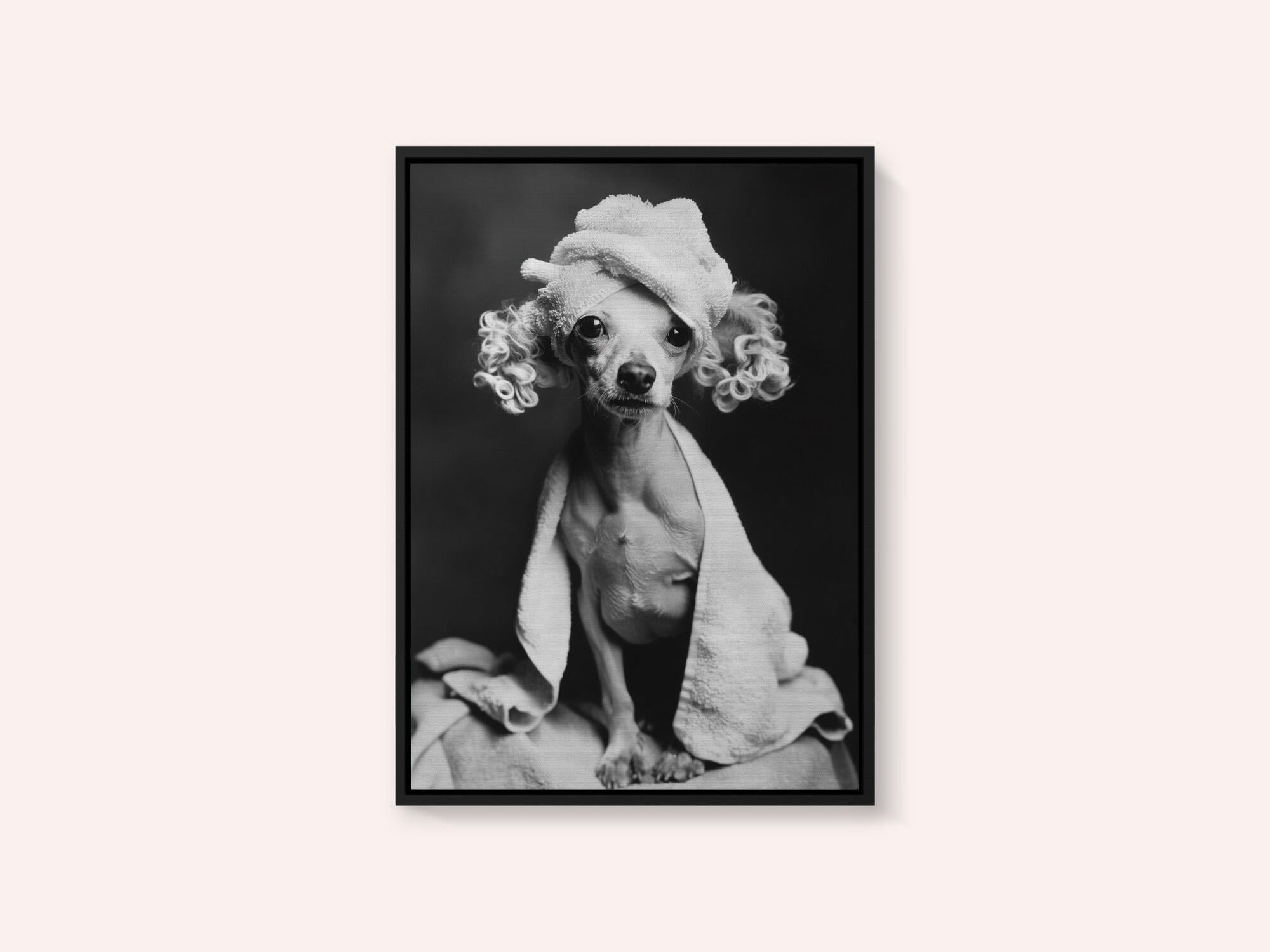 Spa Day Pooch