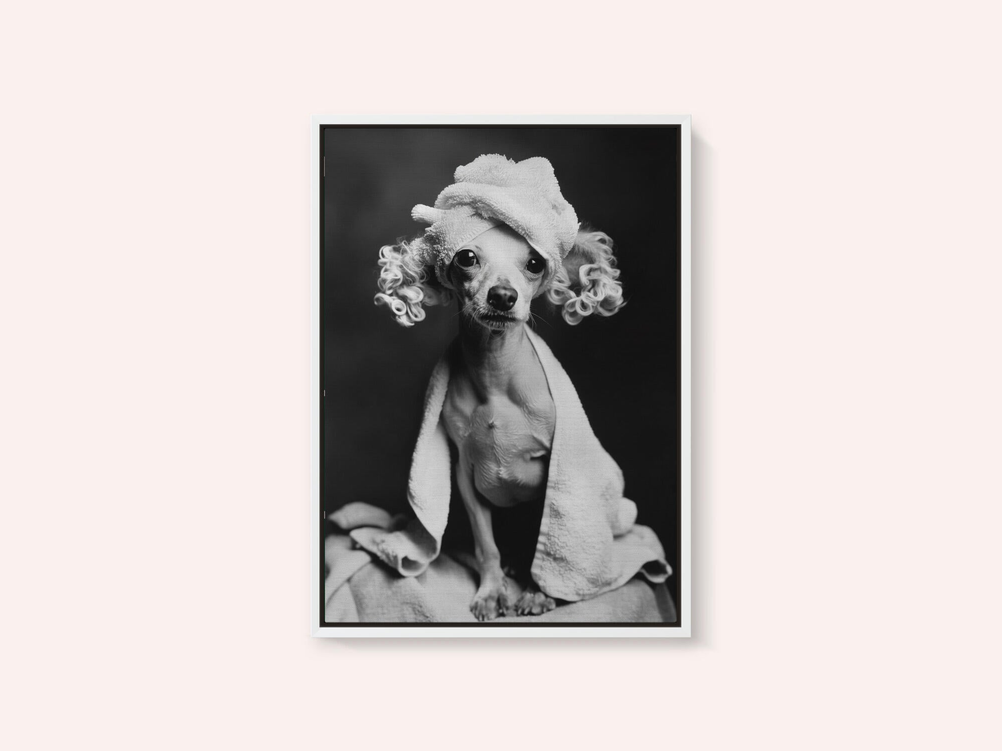 Spa Day Pooch