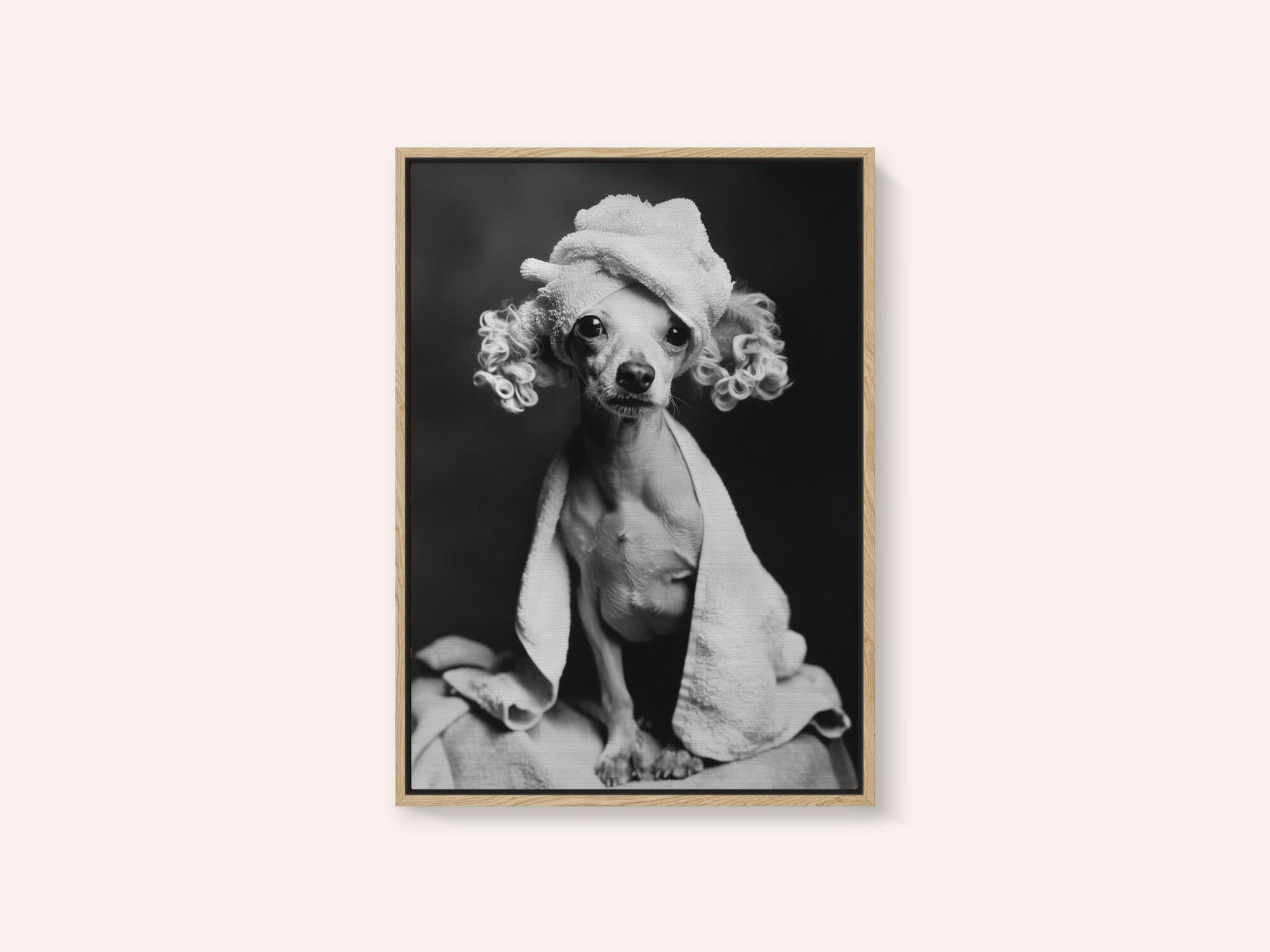 Spa Day Pooch