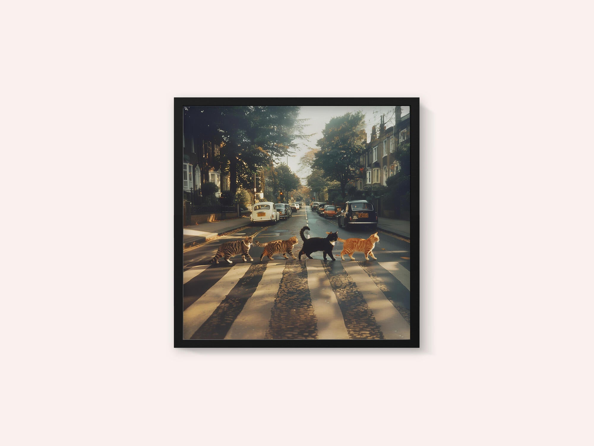 Kitty Abbey Road