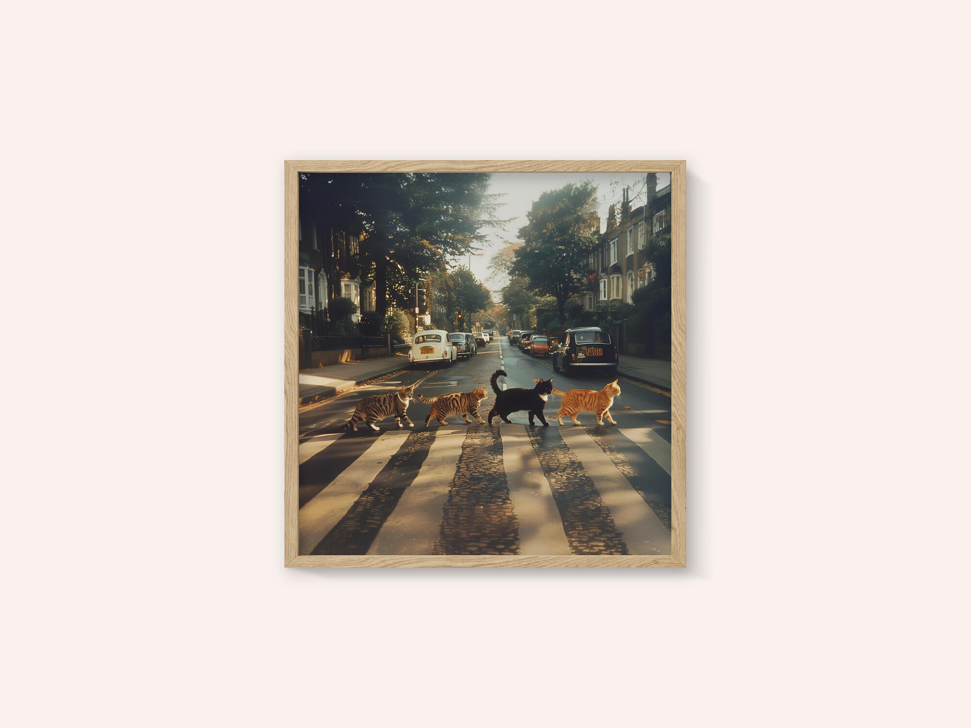 Kitty Abbey Road