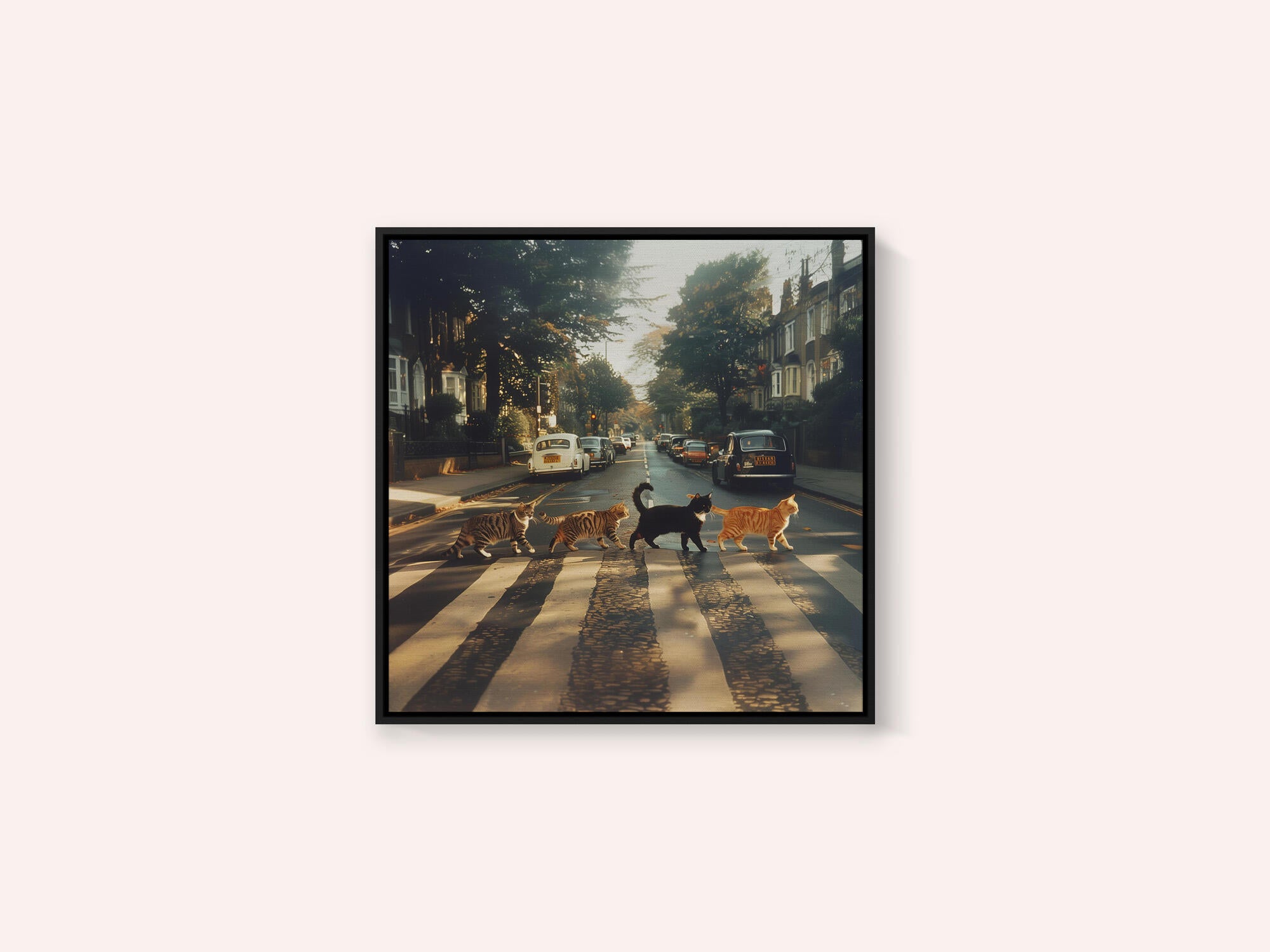 Kitty Abbey Road