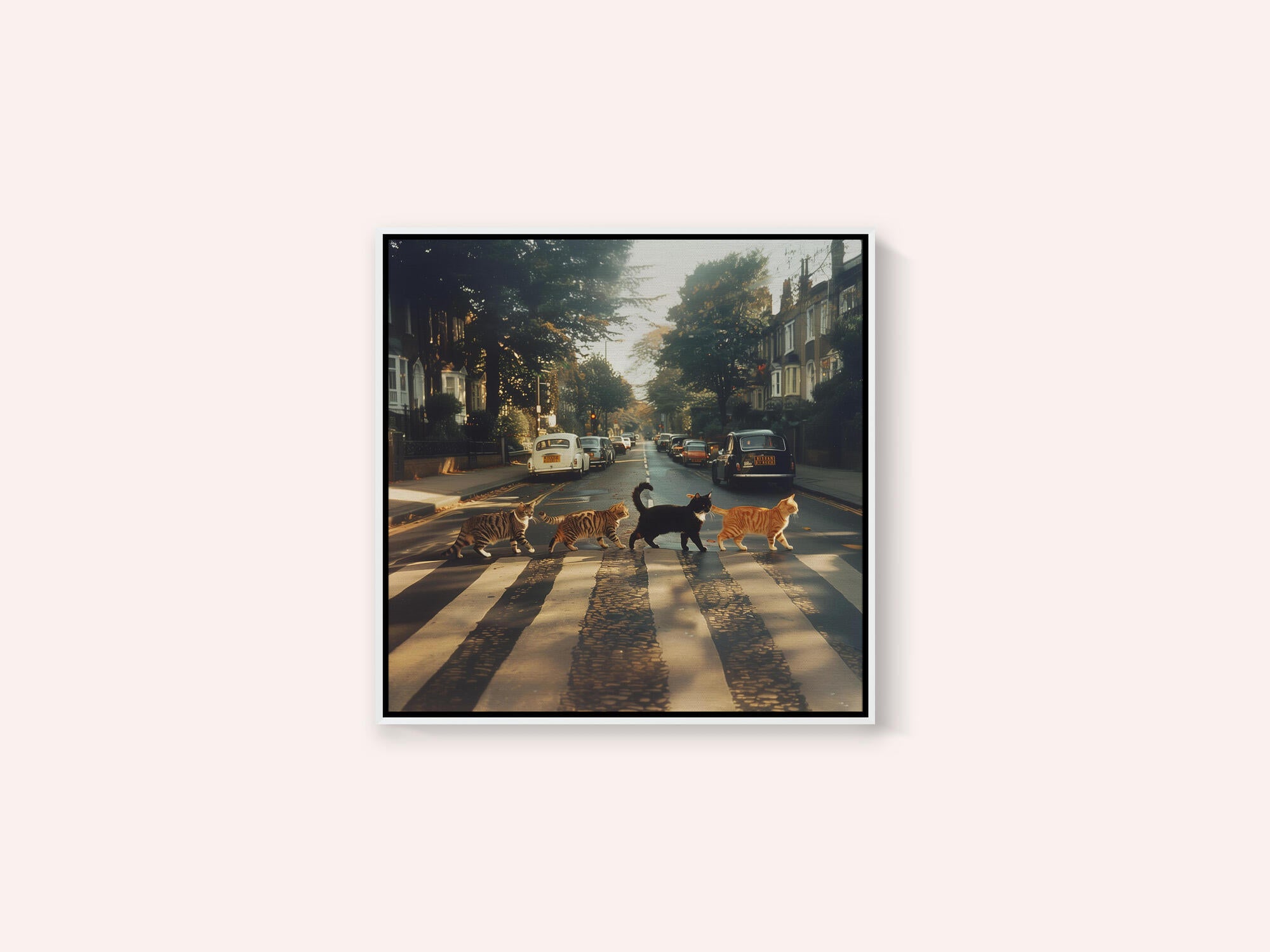 Kitty Abbey Road