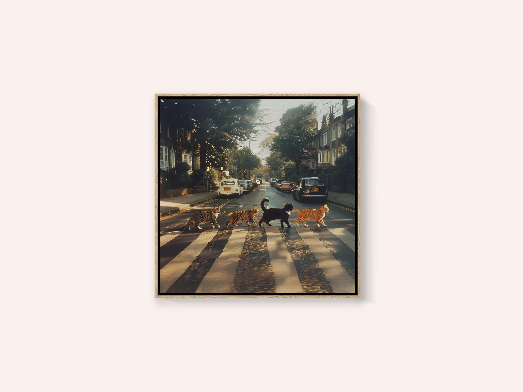 Kitty Abbey Road