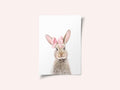 Bunny With a Bow