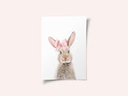 Bunny With a Bow