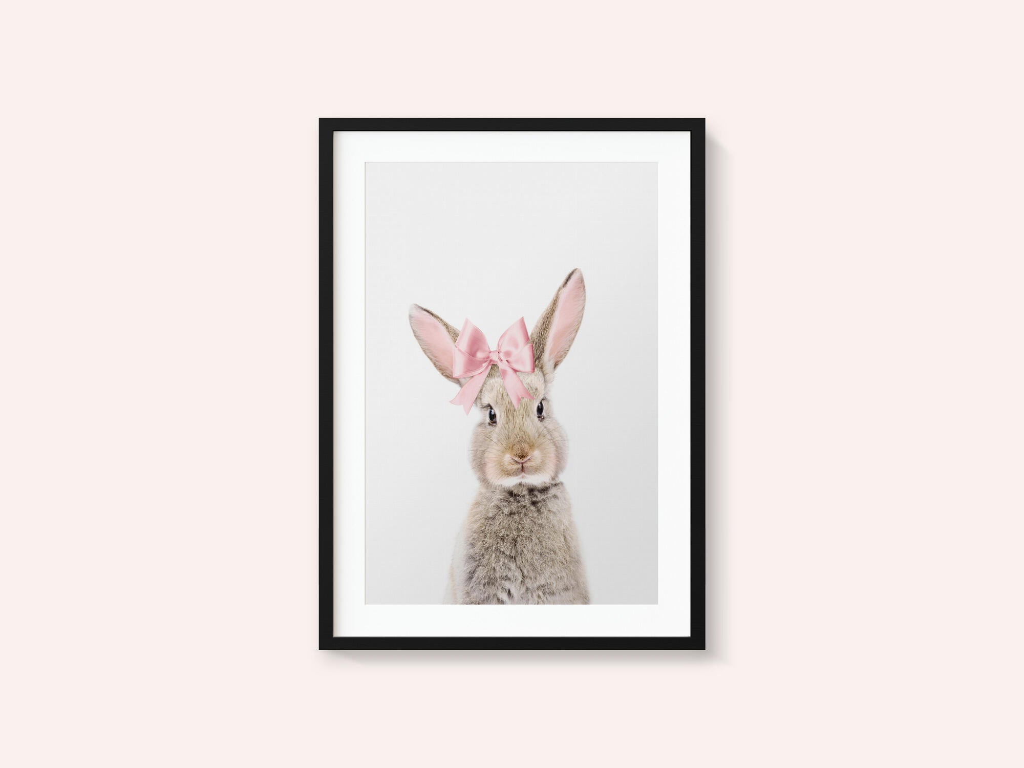 Bunny With a Bow