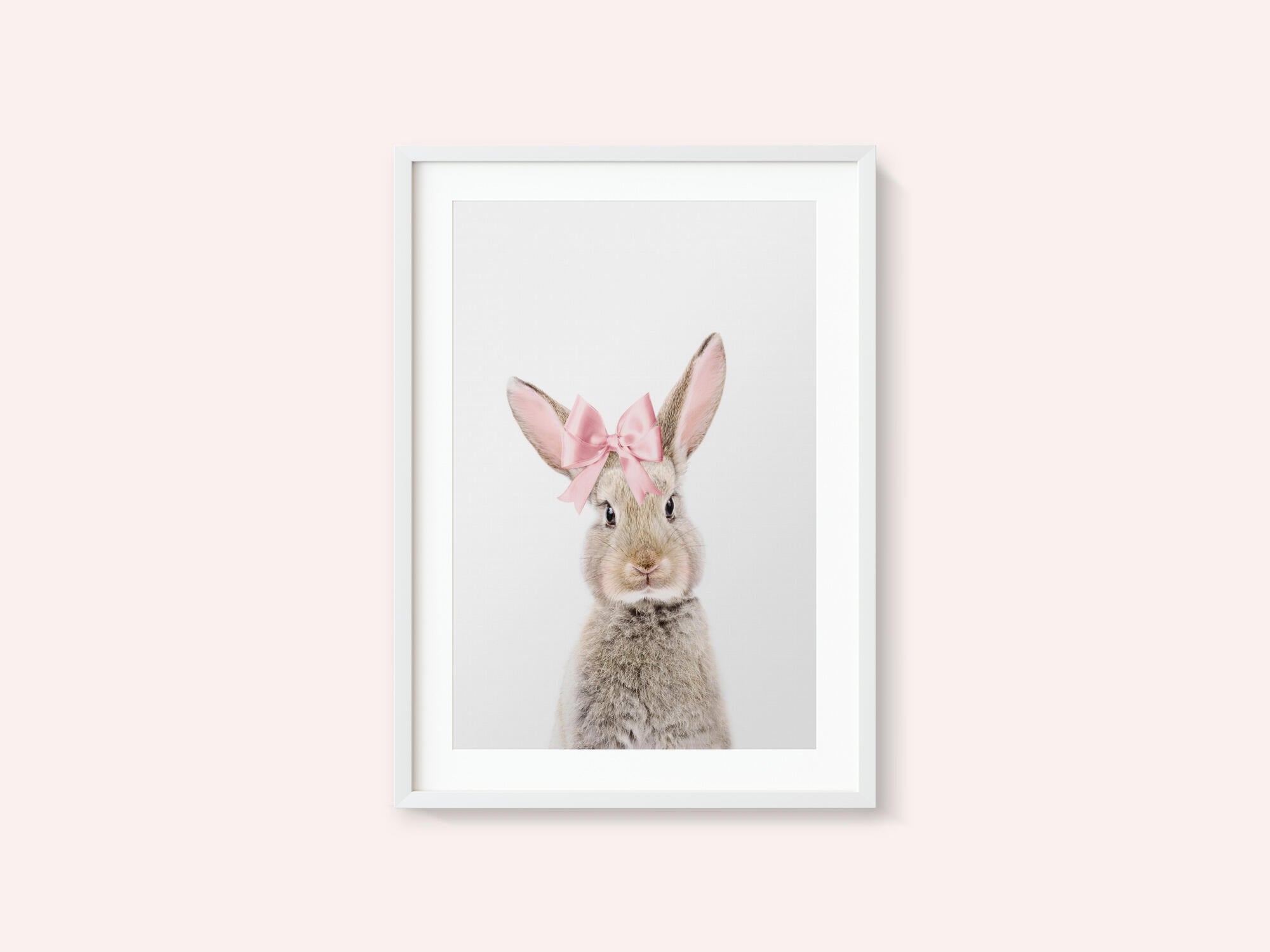 Bunny With a Bow