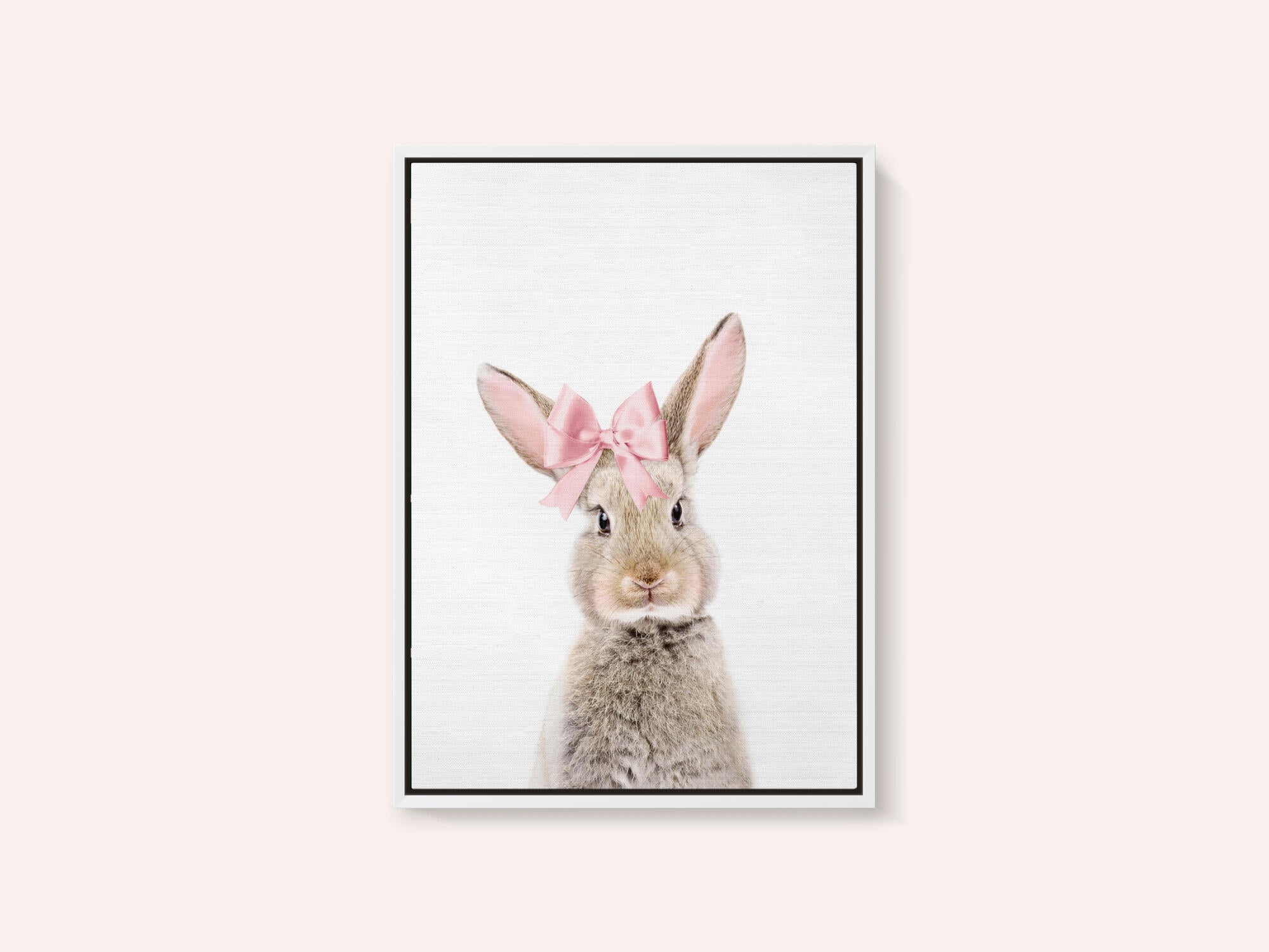 Bunny With a Bow