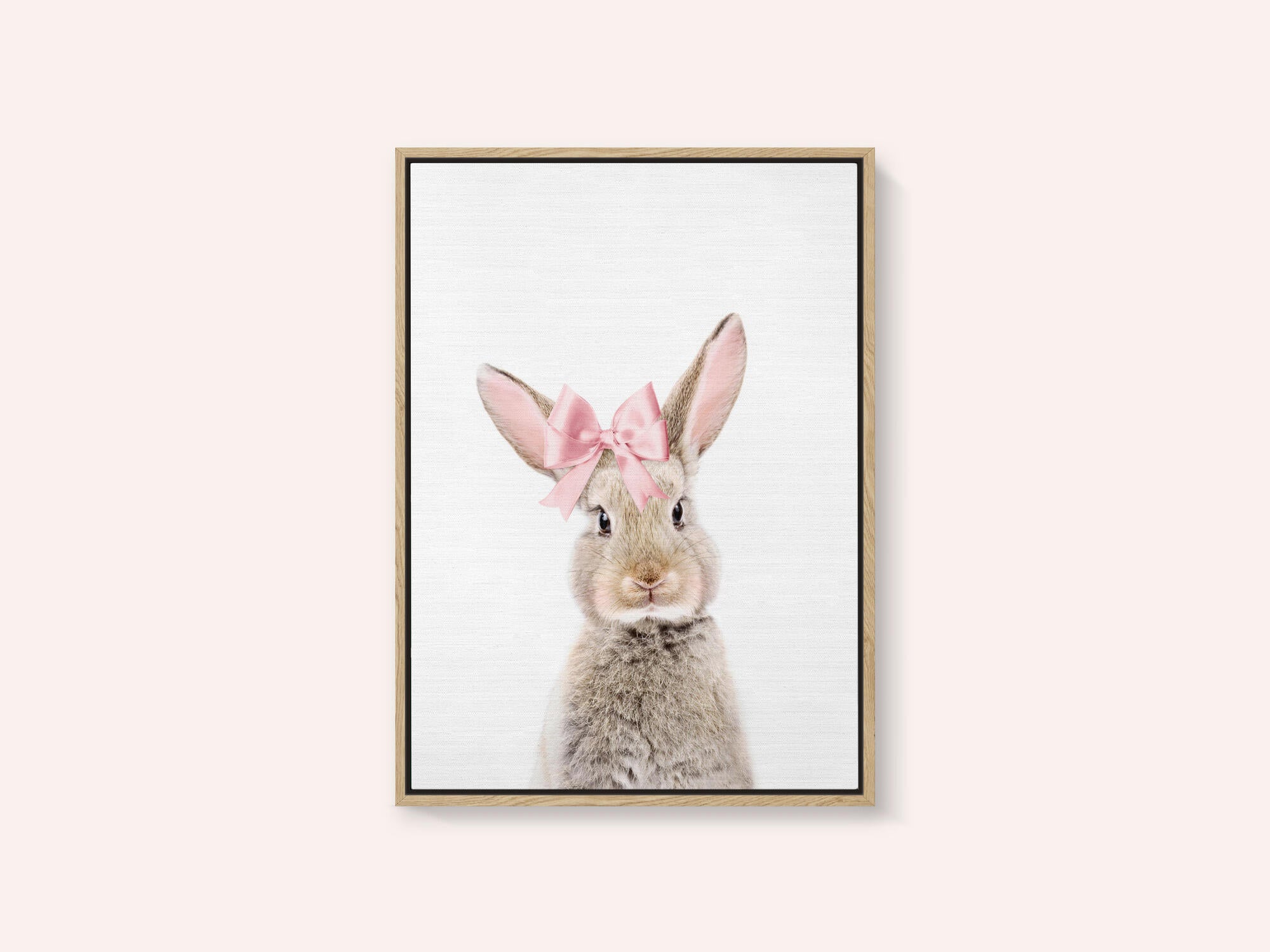 Bunny With a Bow