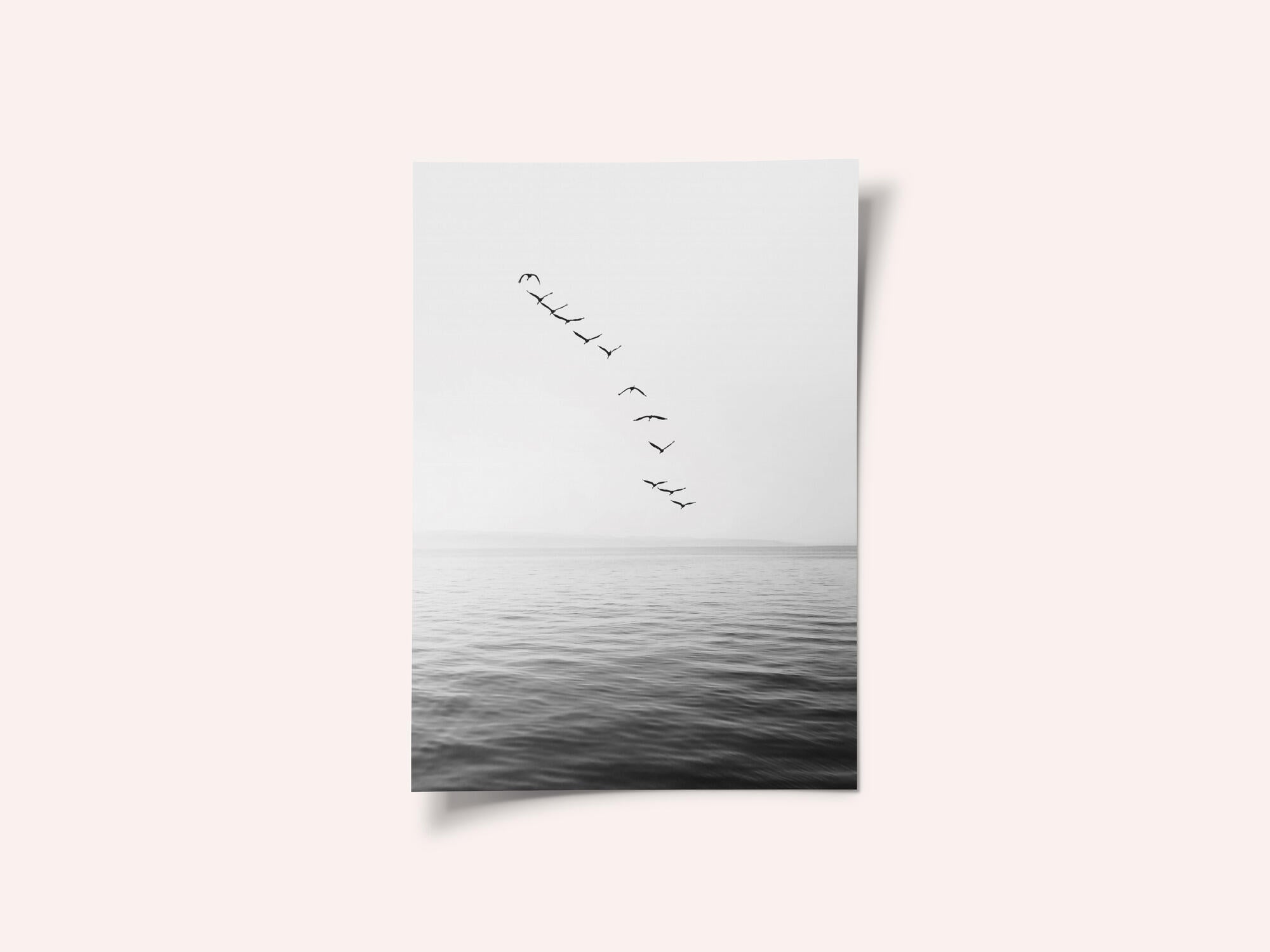 Flying Birds