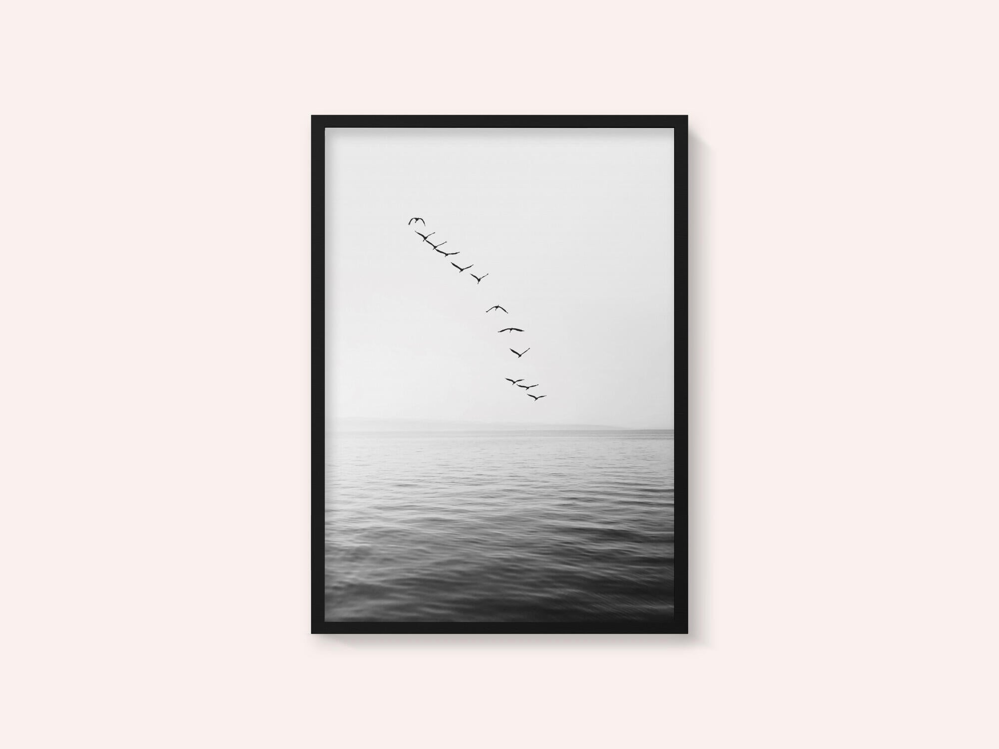 Flying Birds