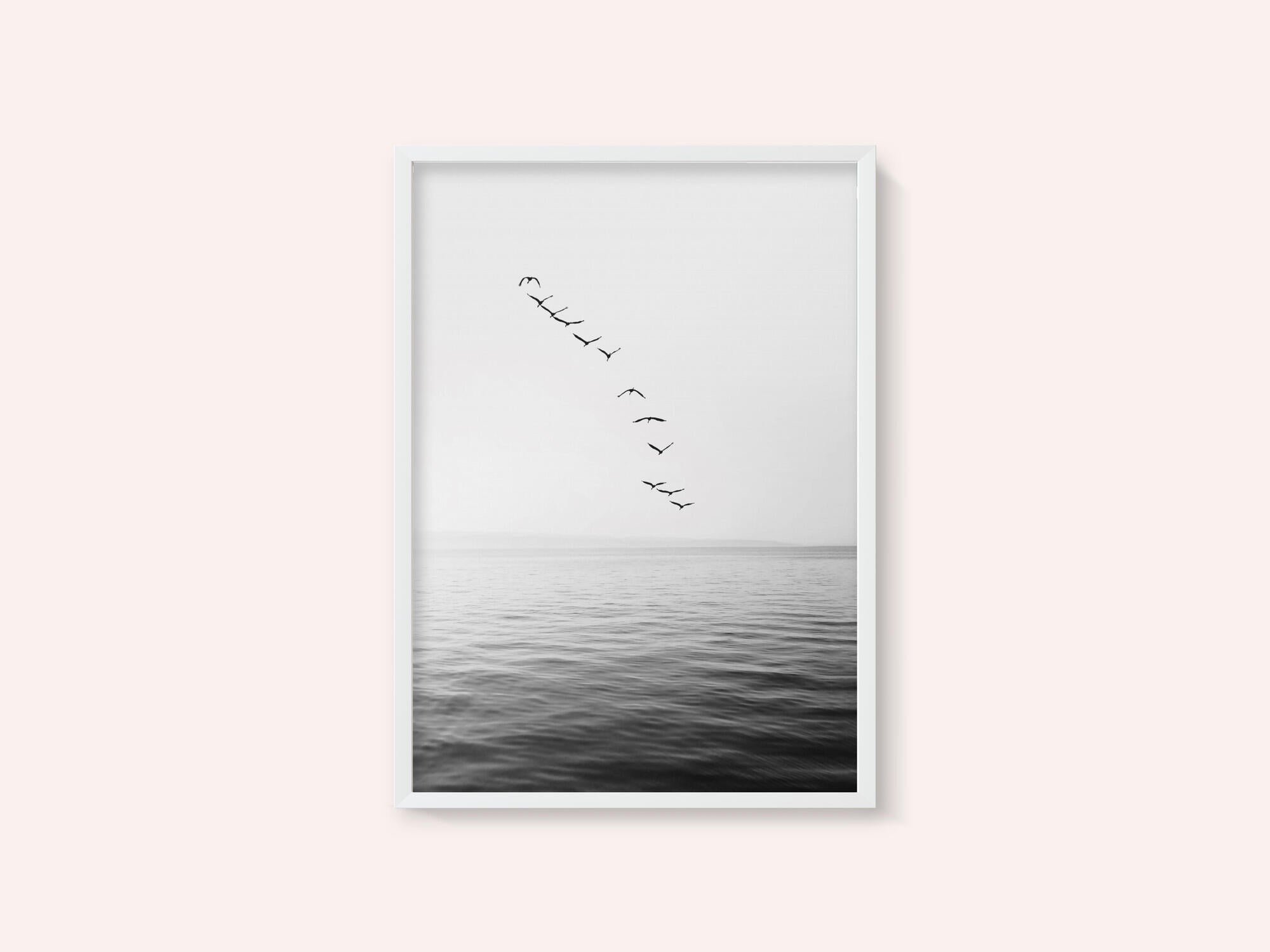 Flying Birds