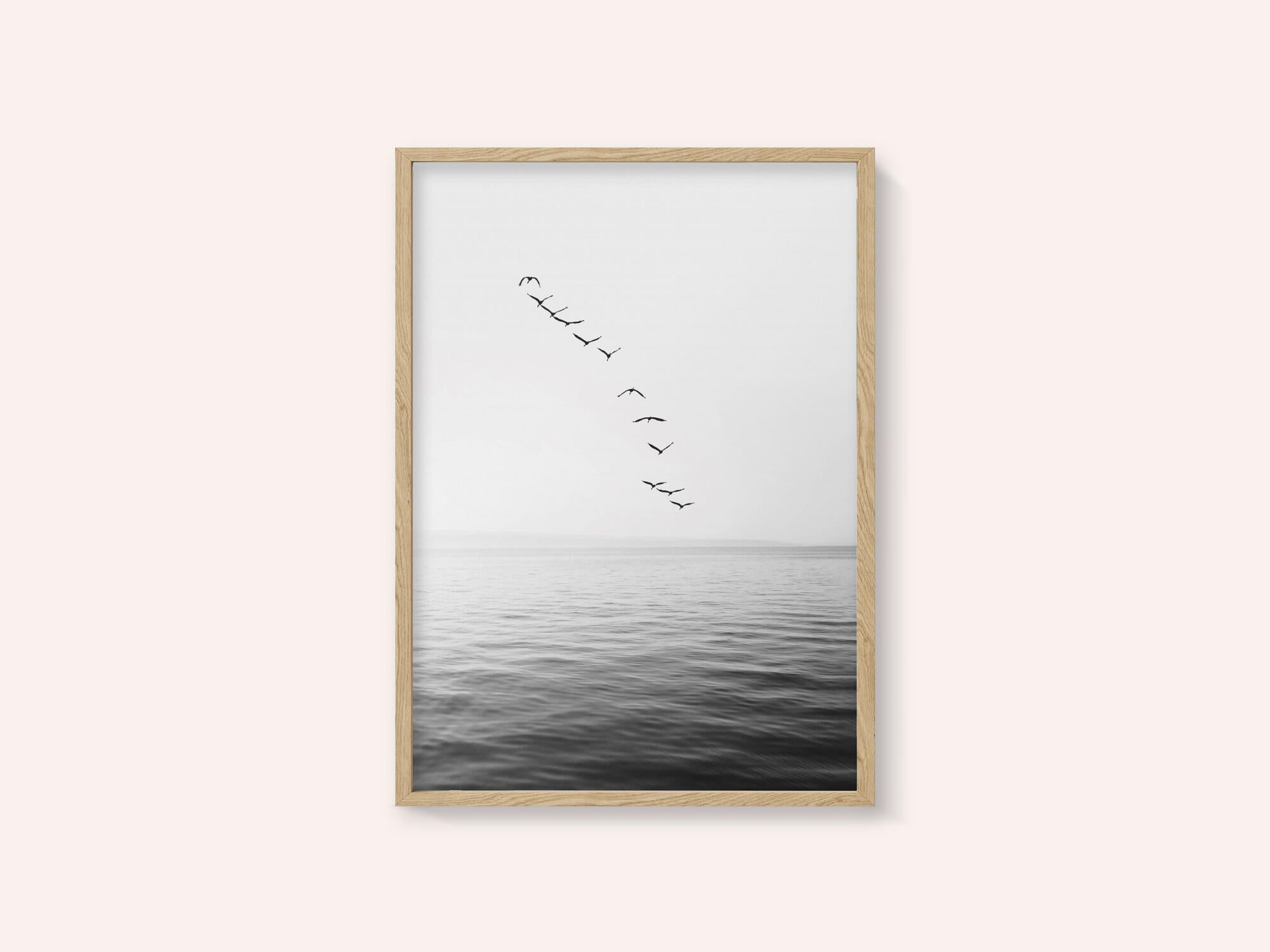 Flying Birds