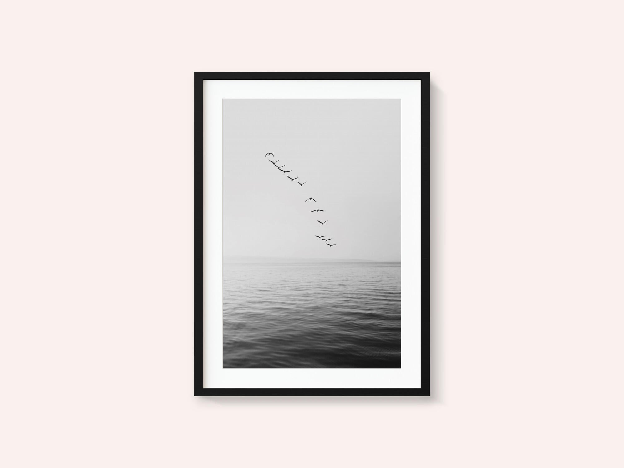 Flying Birds
