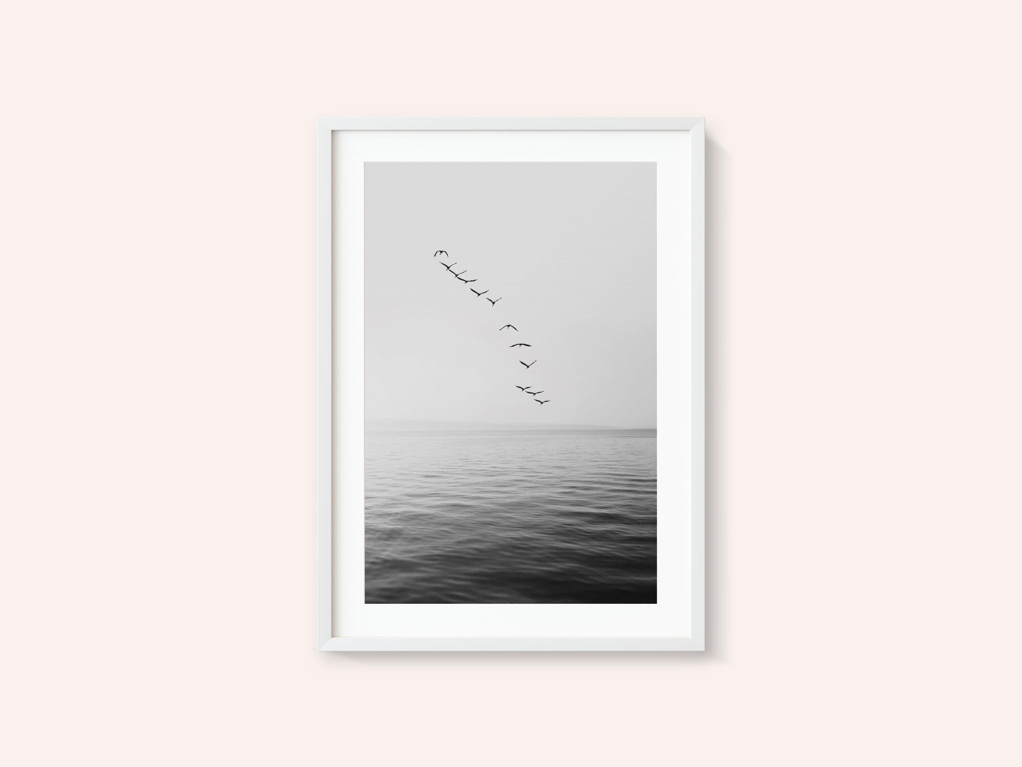 Flying Birds