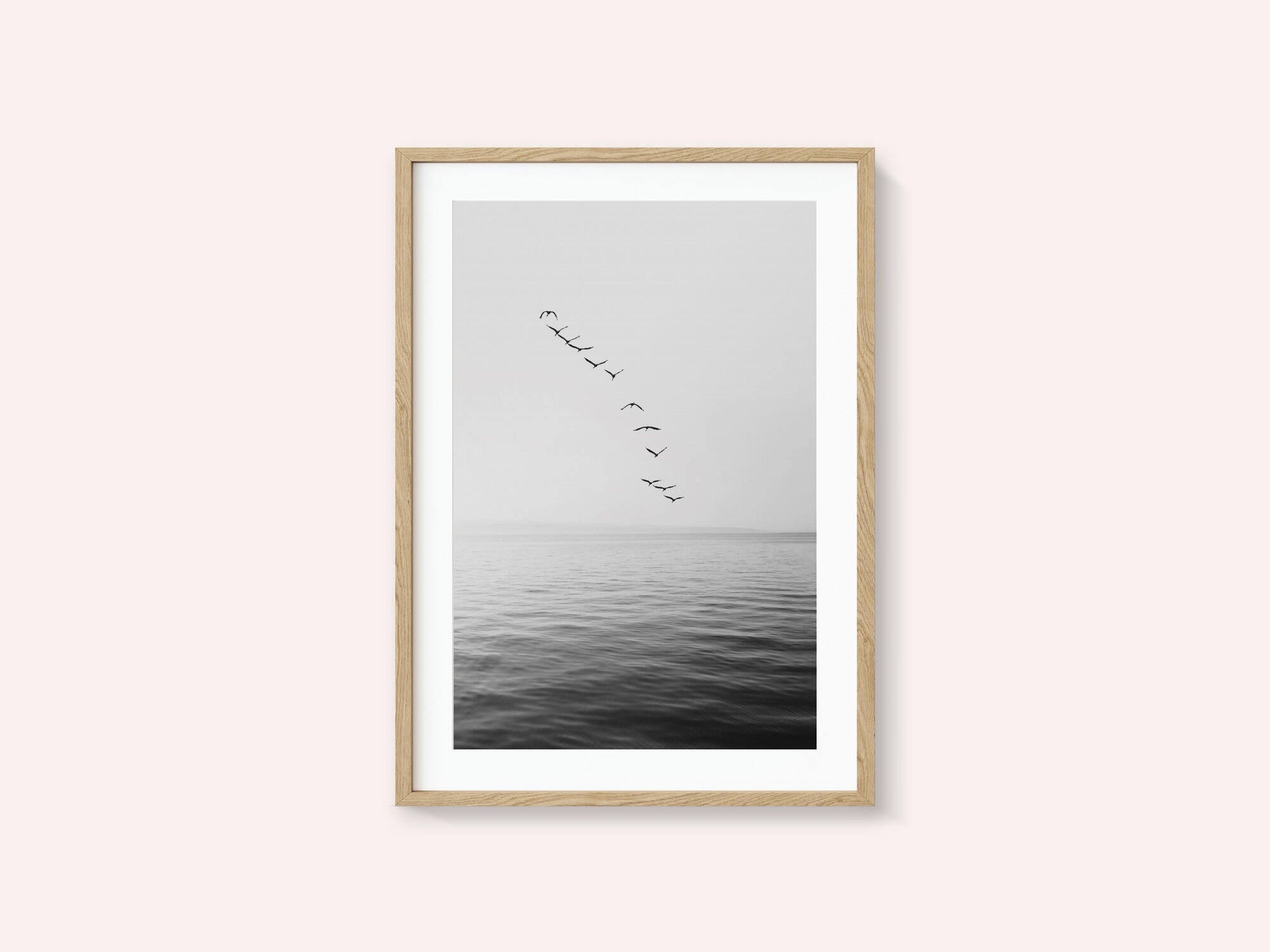 Flying Birds
