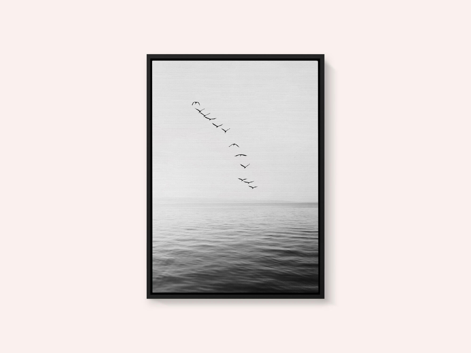 Flying Birds
