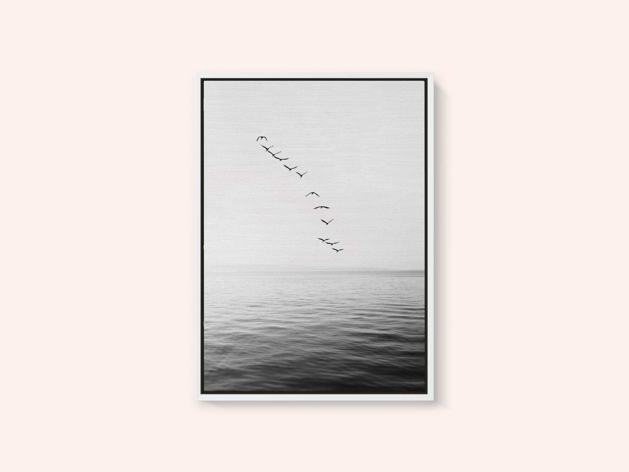 Flying Birds