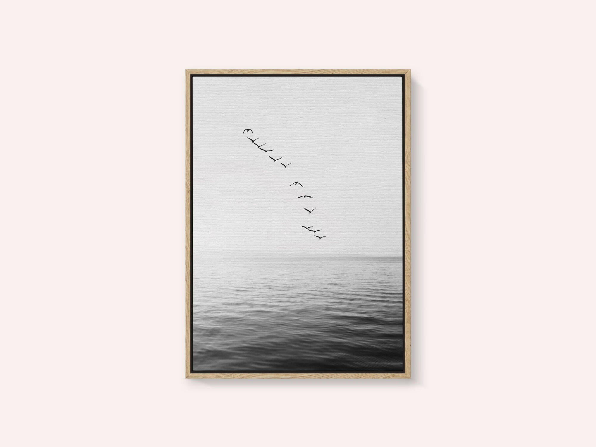 Flying Birds