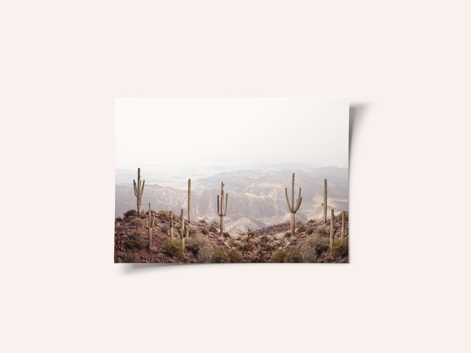 Arizona Valley